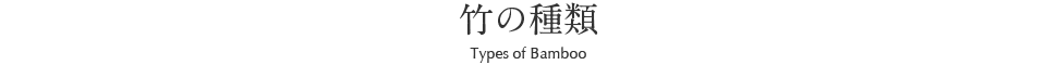 竹の種類 Kind of Bamboo