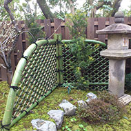 青竹光悦寺